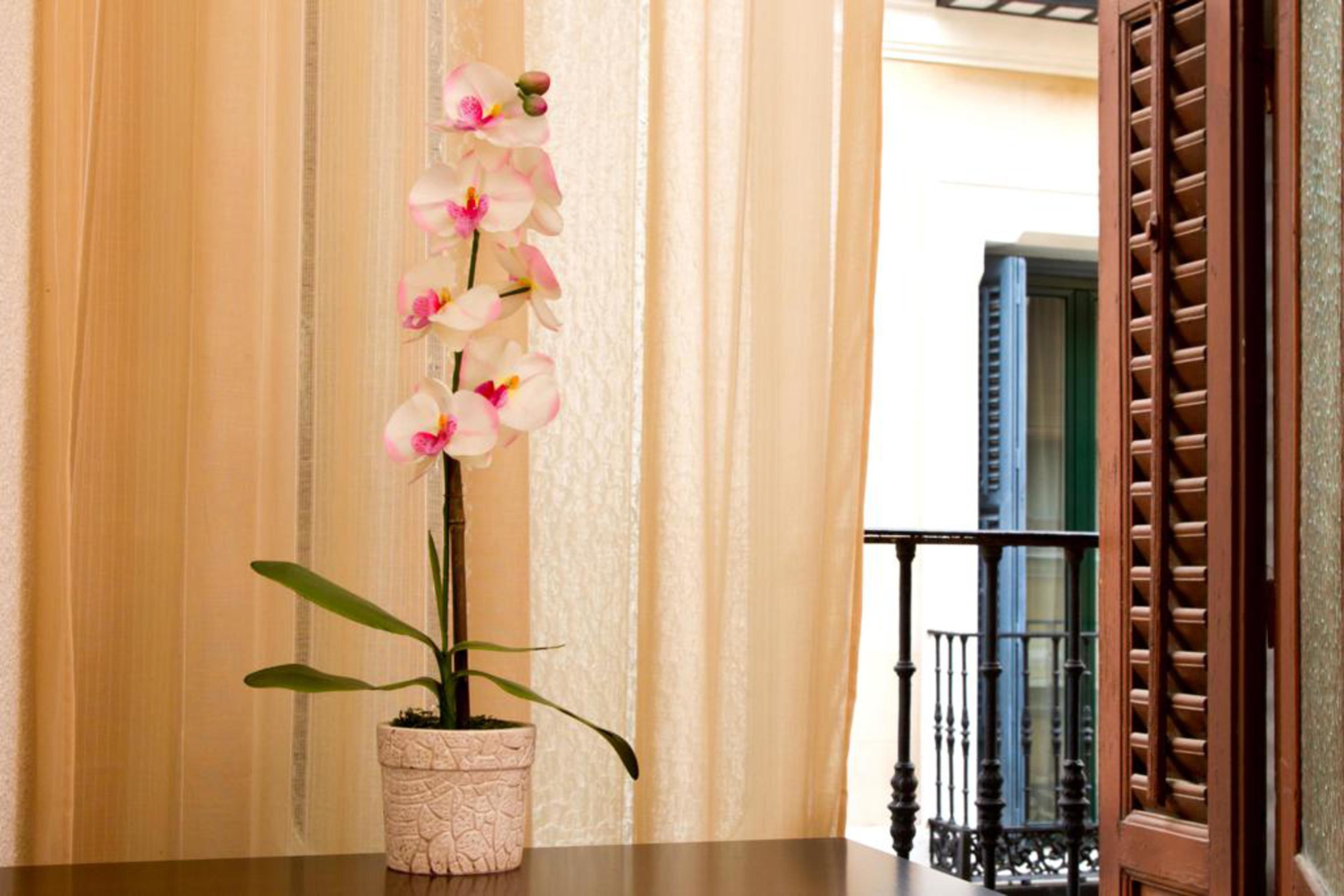 Photo - Hostal Condestable