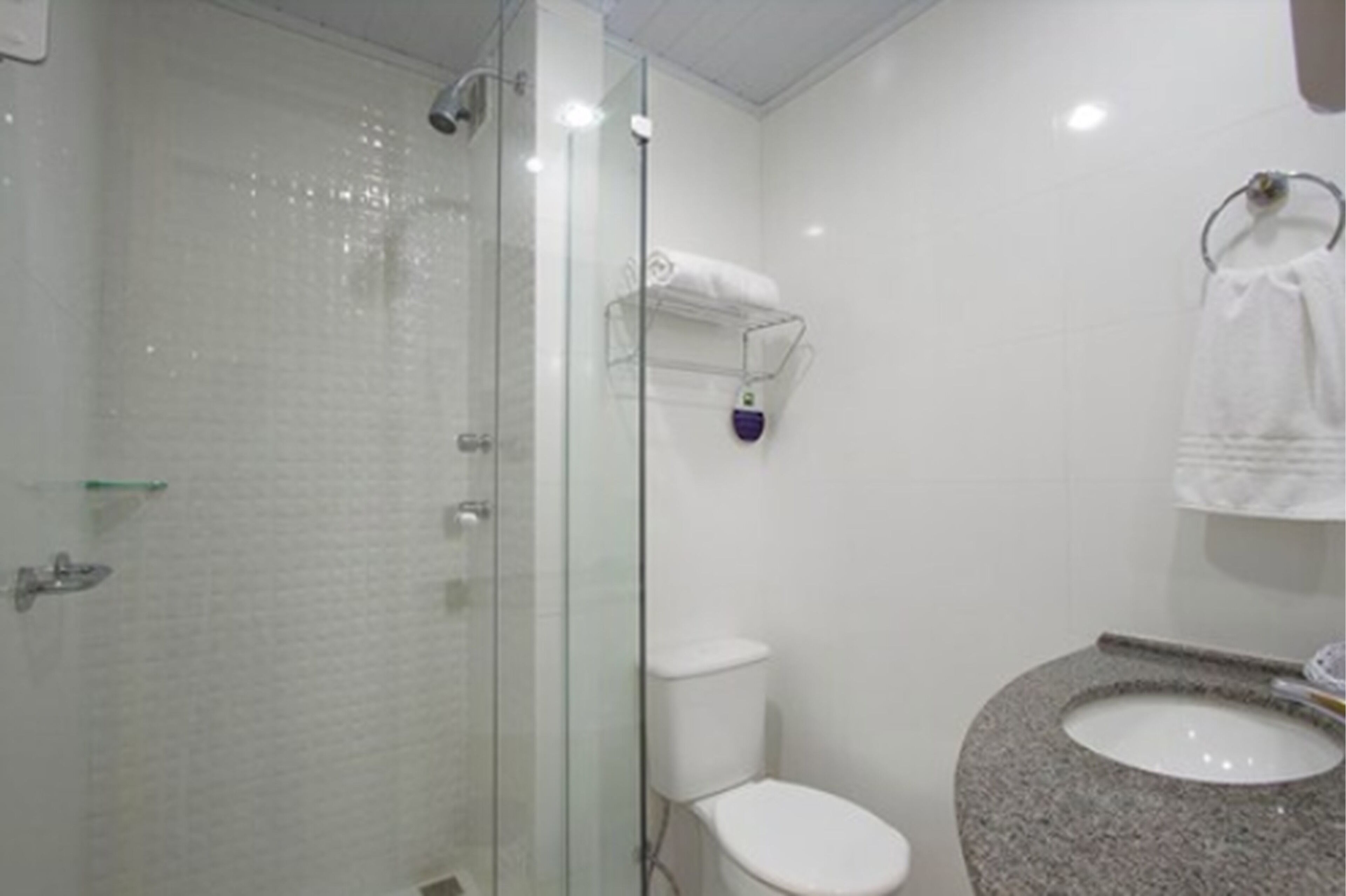 Ein Badezimmer mit einer gläsernen Duschkabine, einer weißen Toilette und einem Granitwaschbecken.