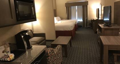 Holiday Inn Express & Suites Fredericksburg by IHG