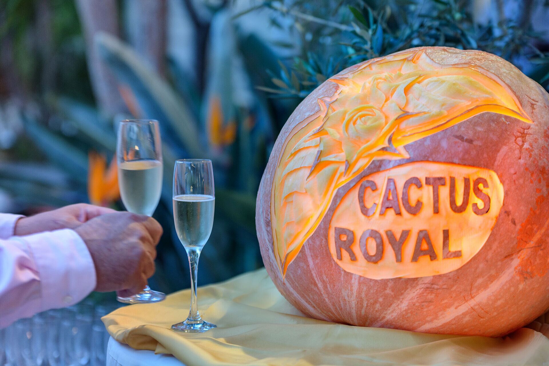 A carved pumpkin labeled "Cactus Royal" with two glasses of a clear liquid, possibly champagne, on a table.