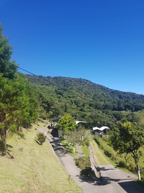 A hillside property with a pathway leading to a building, surrounded by greenery and a clear sky. - Hotel Alto Palomo (Toro Amarillo)