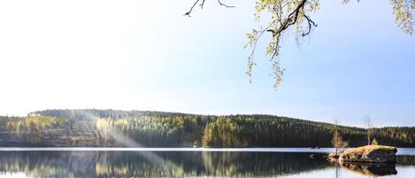 A calm lake with a small boat anchored near the shore, surrounded by a forested landscape.