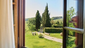 Uitzicht door een raam op een verzorgde tuin met een pad, twee hoge bomen en een stenen muur.