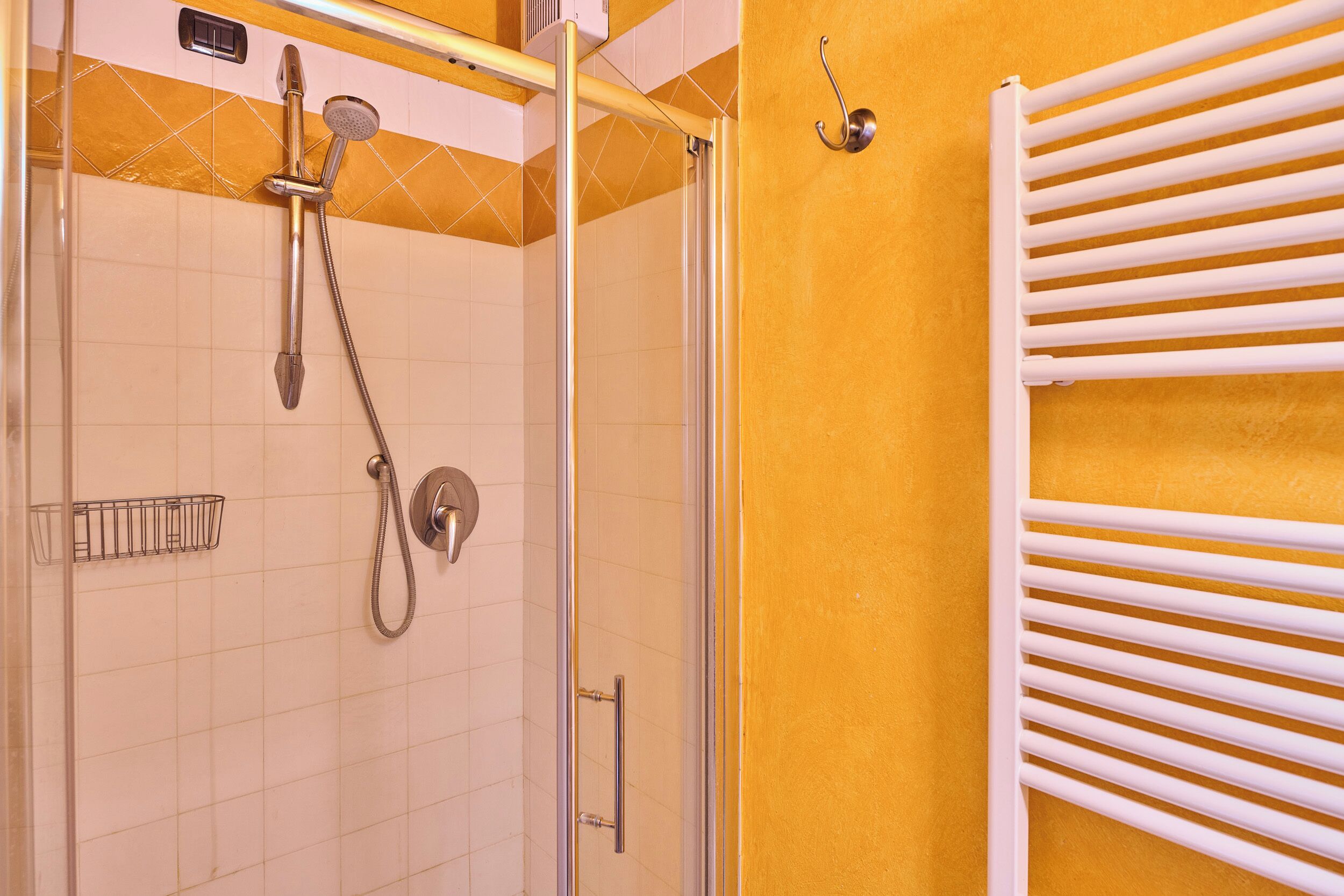 A shower with a handheld showerhead and a wall-mounted faucet, a towel rack, and a glass shower door.