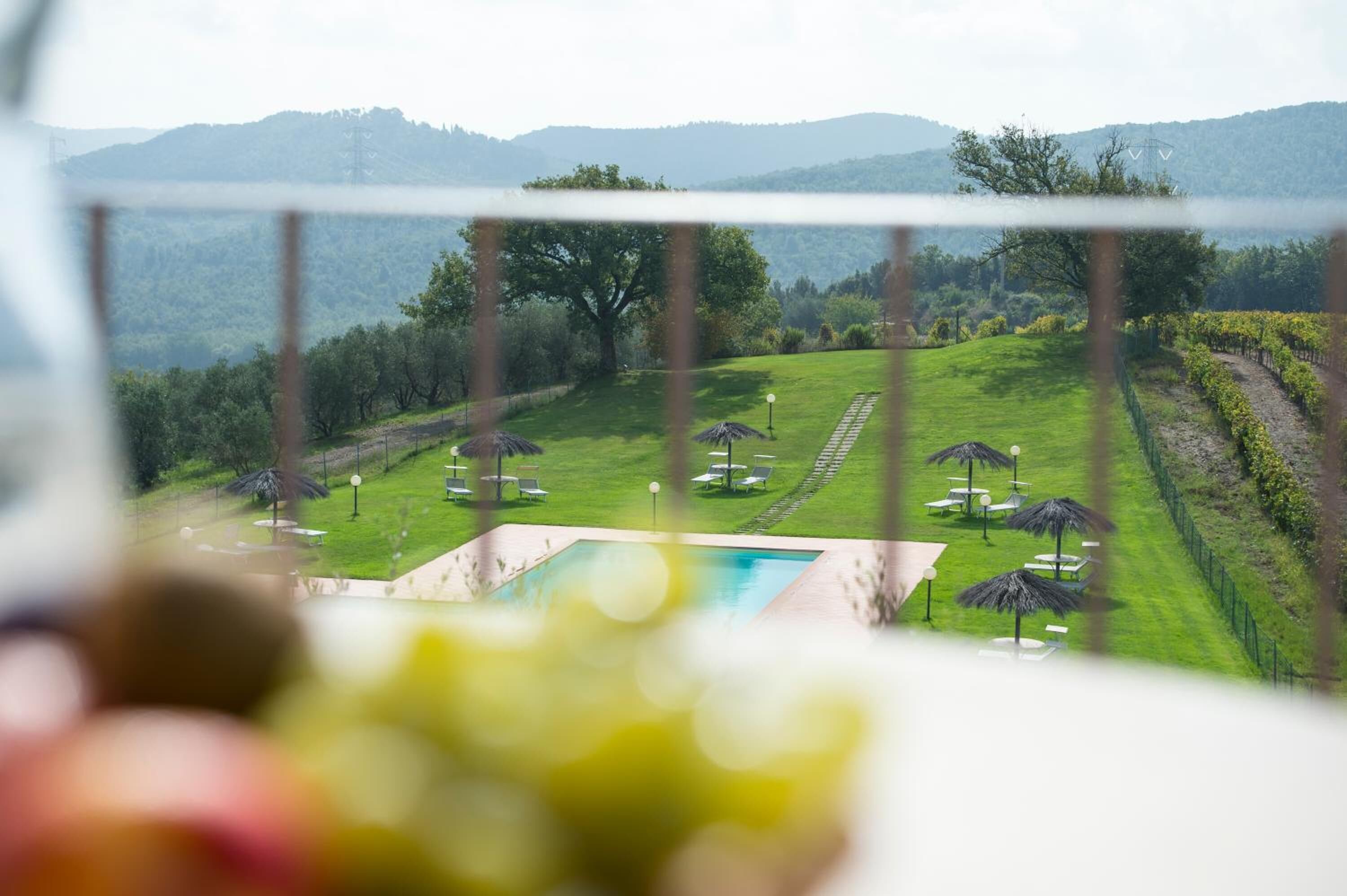 Vue depuis l’hébergement