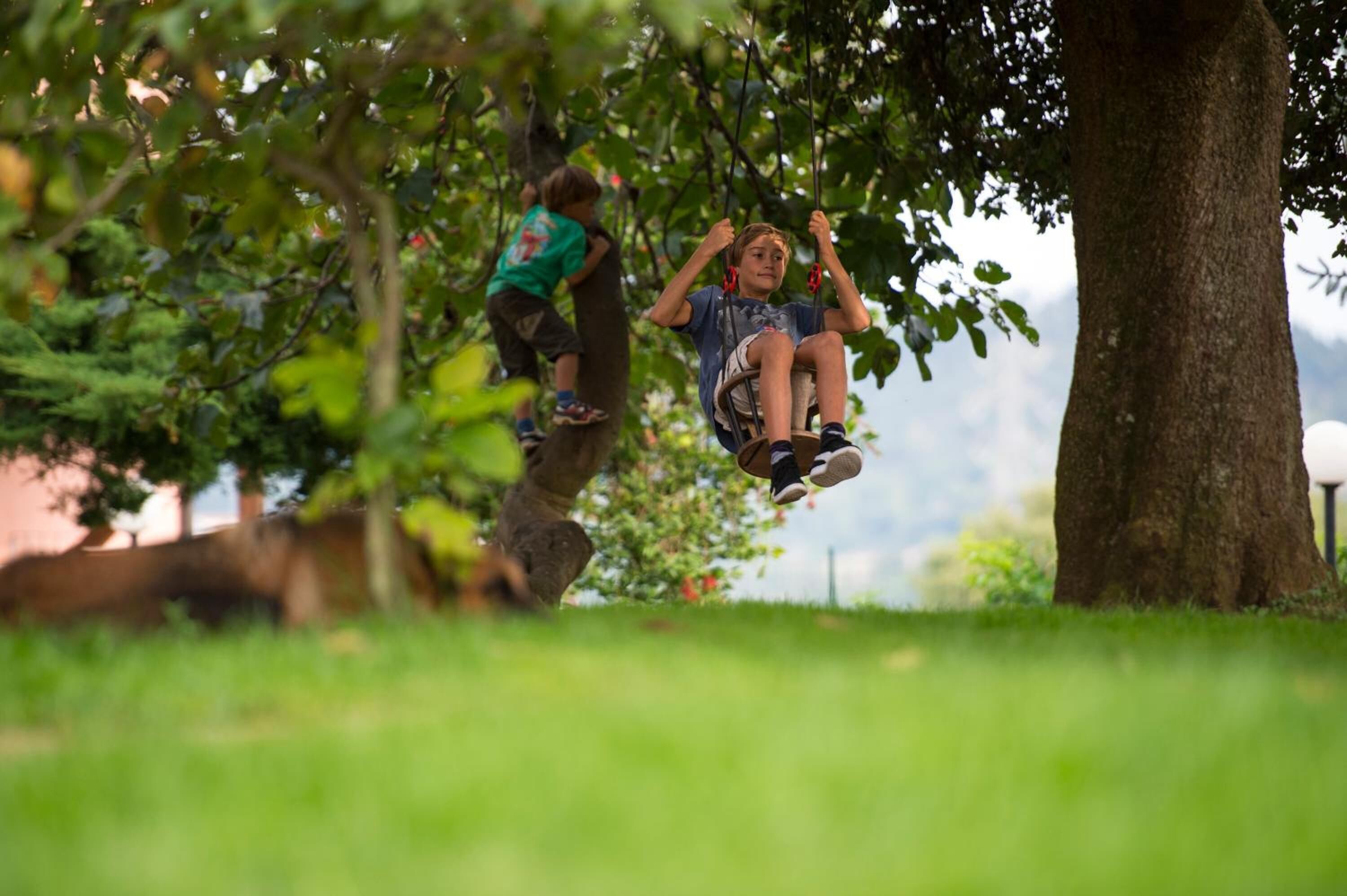 A person swinging on a swing in a park with trees and grass.
