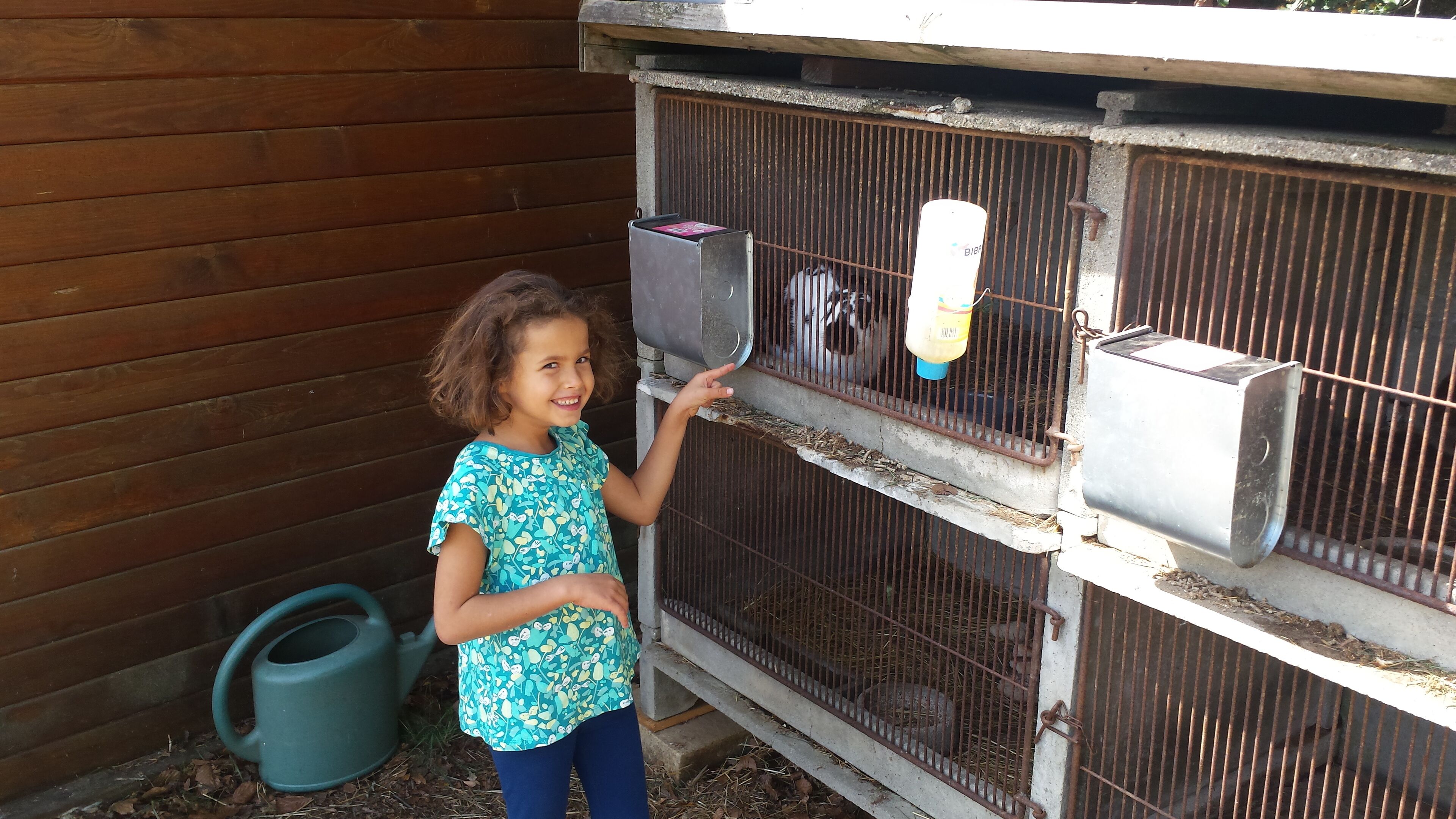 Un niño interactúa con una gallinera de metal.