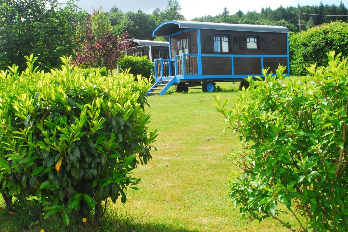 Ein blaues und braunes Wohnmobil mit Veranda und Treppe, umgeben von üppigem Grün.