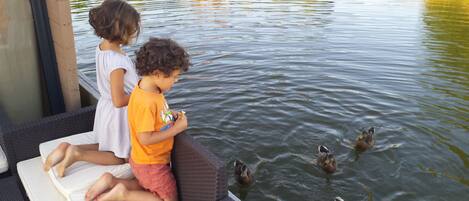 Two children sitting on a bench by a body of water, with ducks swimming nearby.