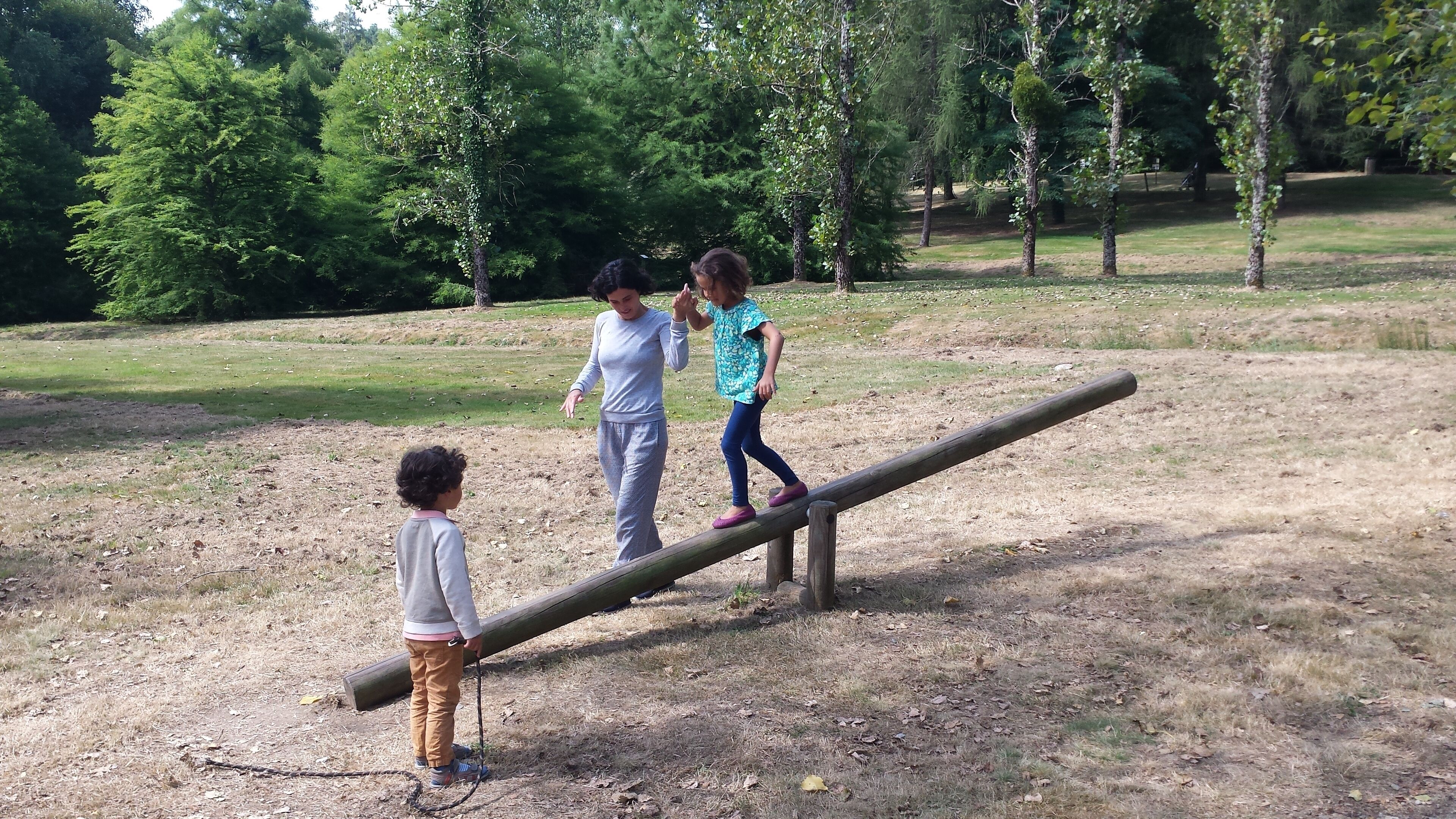 Three children playing on a seesaw in a park with trees in the background.