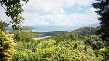 Üppige, grüne Landschaft mit einem See und Bergen in der Ferne.