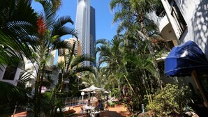 Un patio con palmeras, mobiliario exterior y un edificio alto al fondo.