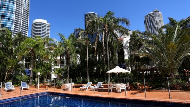 Una piscina con sillas de descanso y sombrillas, rodeada de palmeras y edificios altos.
