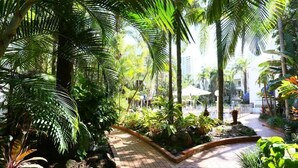 Un sendero pavimentado rodeado de exuberante vegetación y palmeras, que conduce a un edificio con una sombrilla blanca.