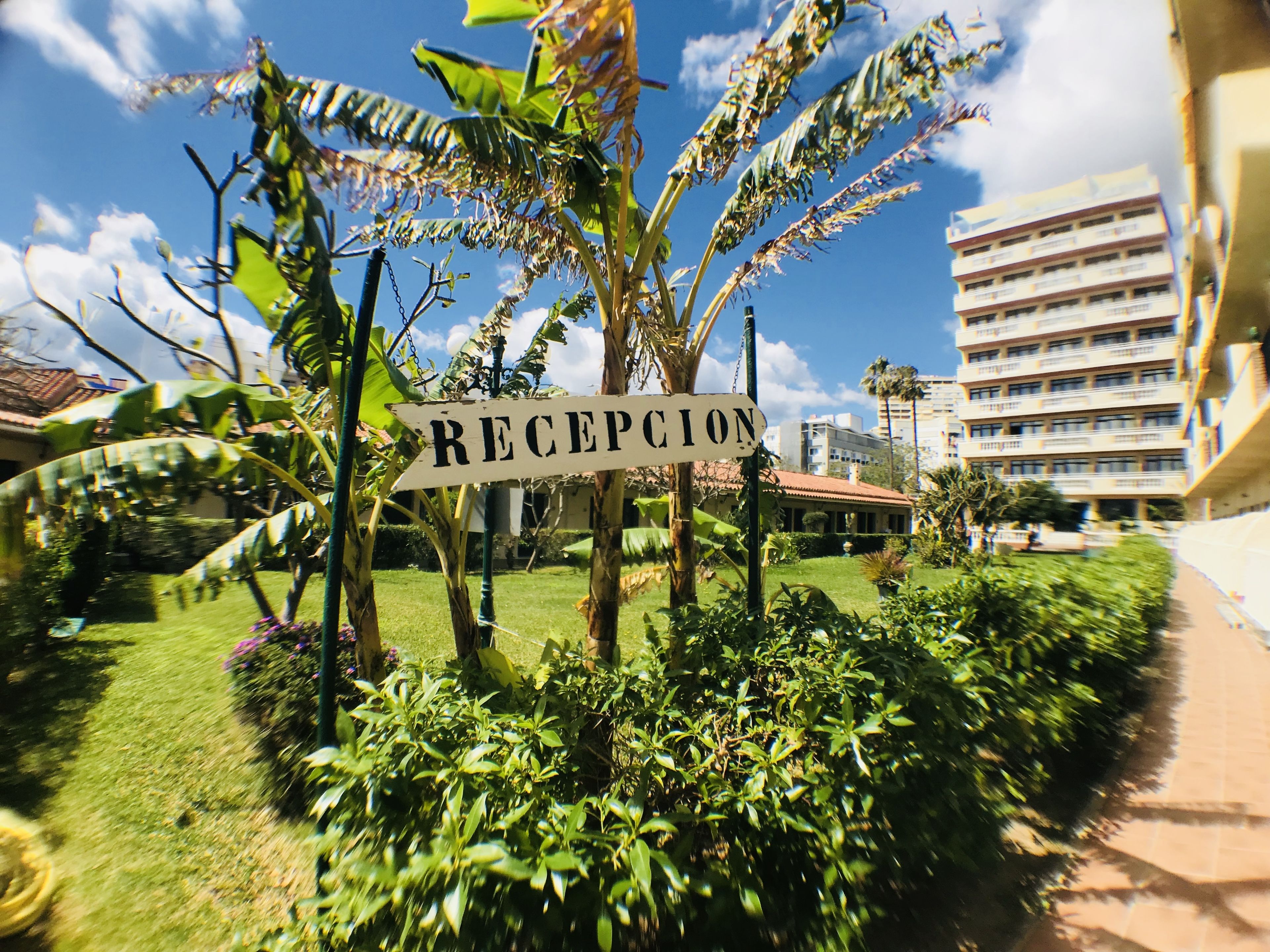 Foto - Hotel Los Jazmines