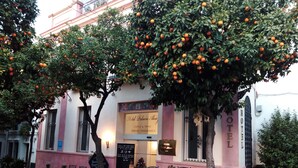 A hotel with a sign reading "Hotel Palacio Ales". - Hotel Palacio Alcazar (Seville)
