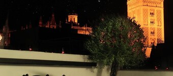 Hotel Palacio Alcazar