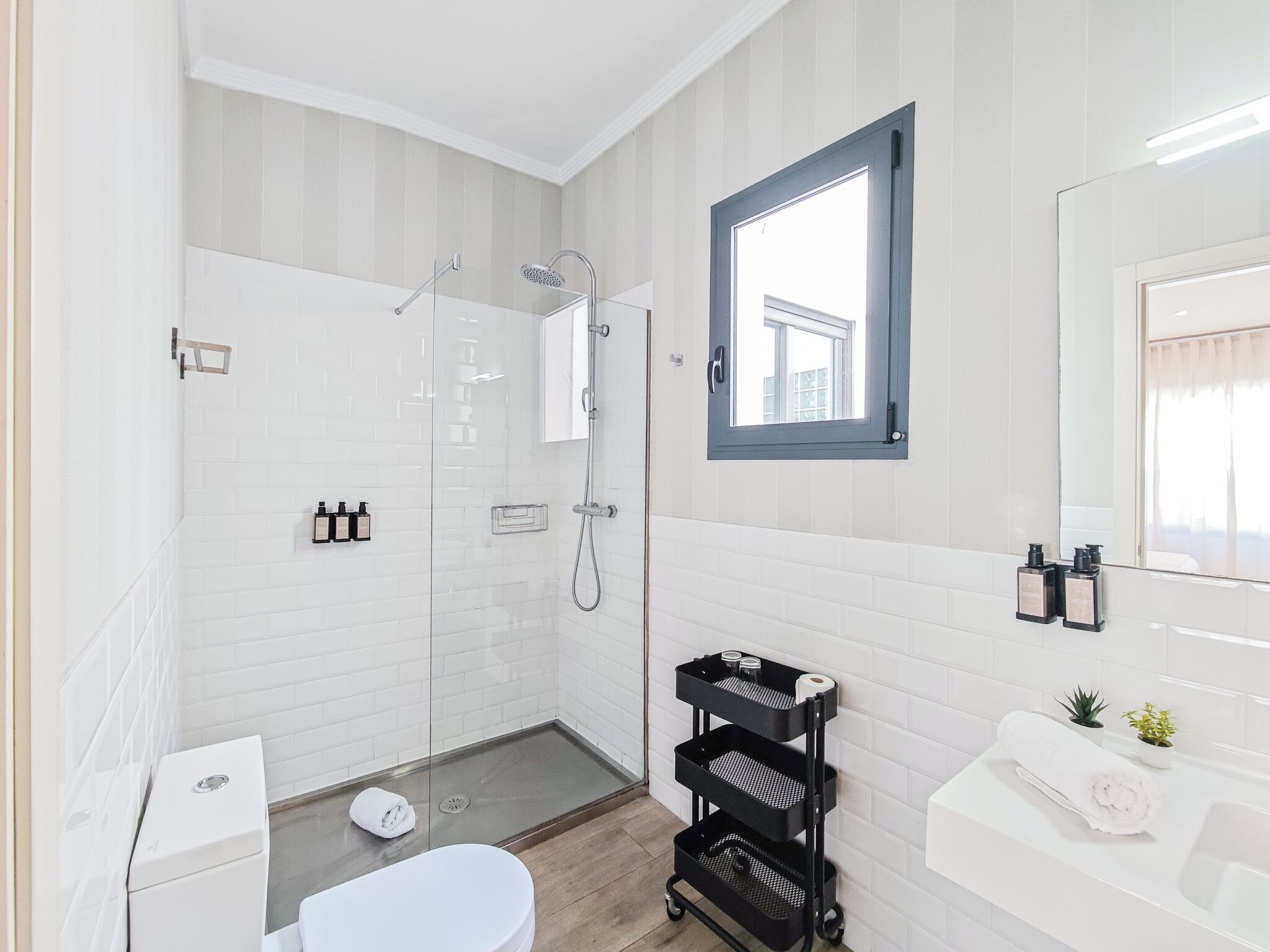 A modern bathroom with a glass-enclosed shower, a white toilet, a sink with a mirror, and a small potted plant.