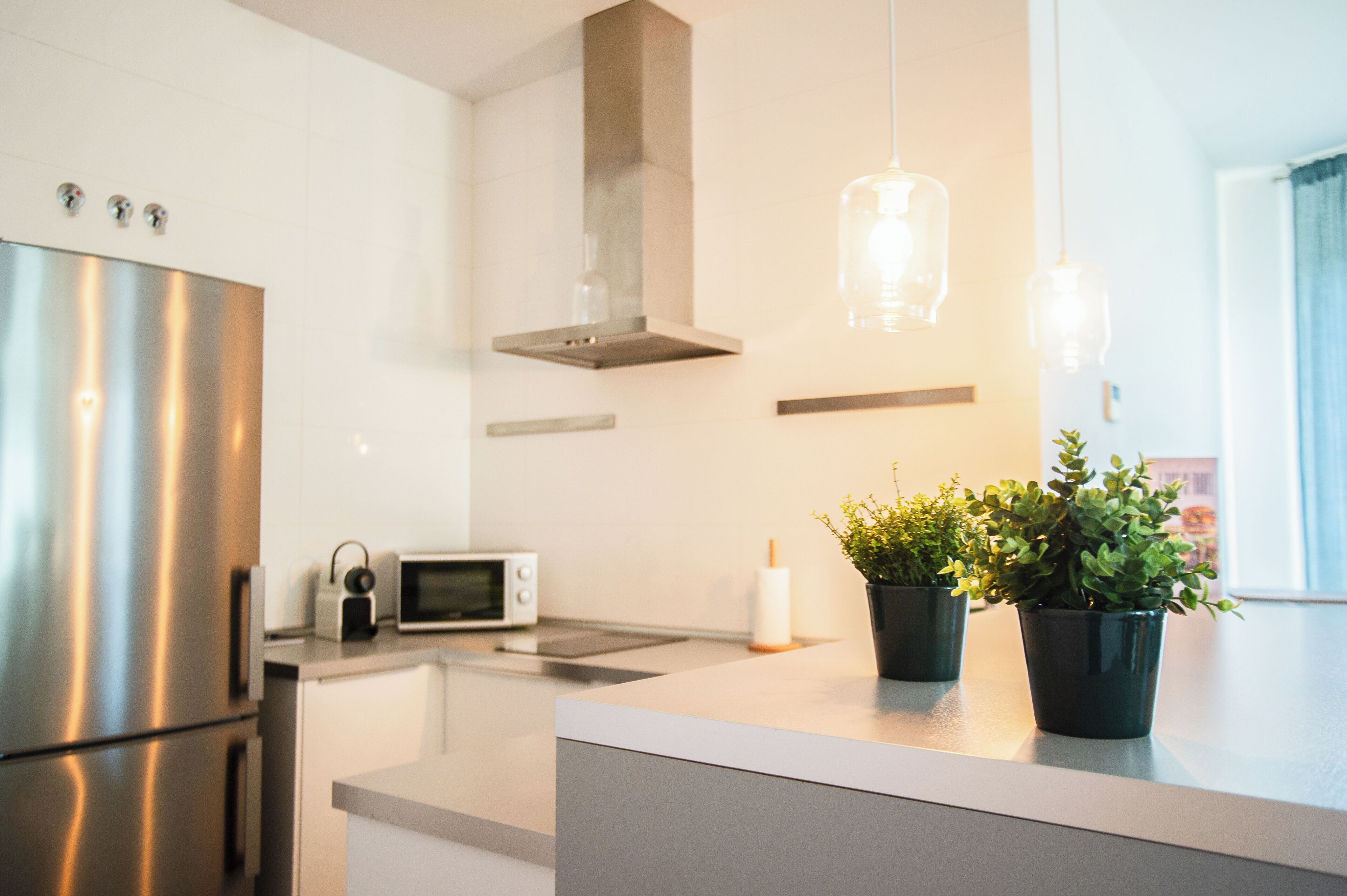 Une cuisine moderne équipée d’appareils électroménagers en acier inoxydable, d’un four à micro-ondes et agrémentée de plantes en pot sur le plan de travail.