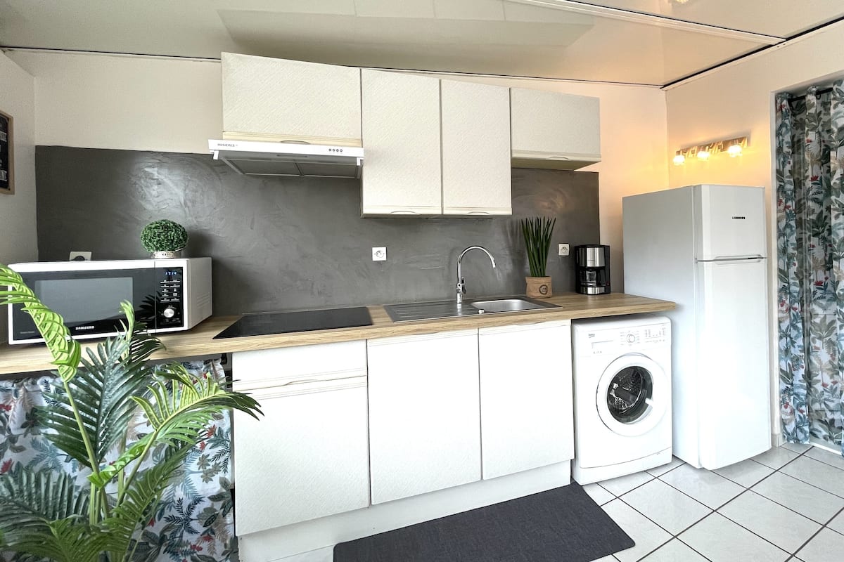 superior apartment, 1 bedroom | private kitchen | fridge, microwave, stovetop, toaster