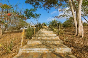 Eine steinerne Treppe führt zu einem Haus, das von Bäumen und Pflanzen umgeben ist.