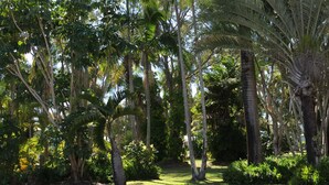 Room - Tin Can Bay Motel (Tin Can Bay)