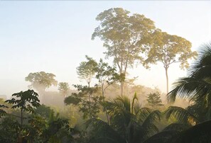 View from property - La Laguna del Lagarto Eco-Lodge (Pital)