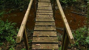 Metsäisellä alueella sijaitseva puinen silta, jonka alla virtaa mutainen puro.