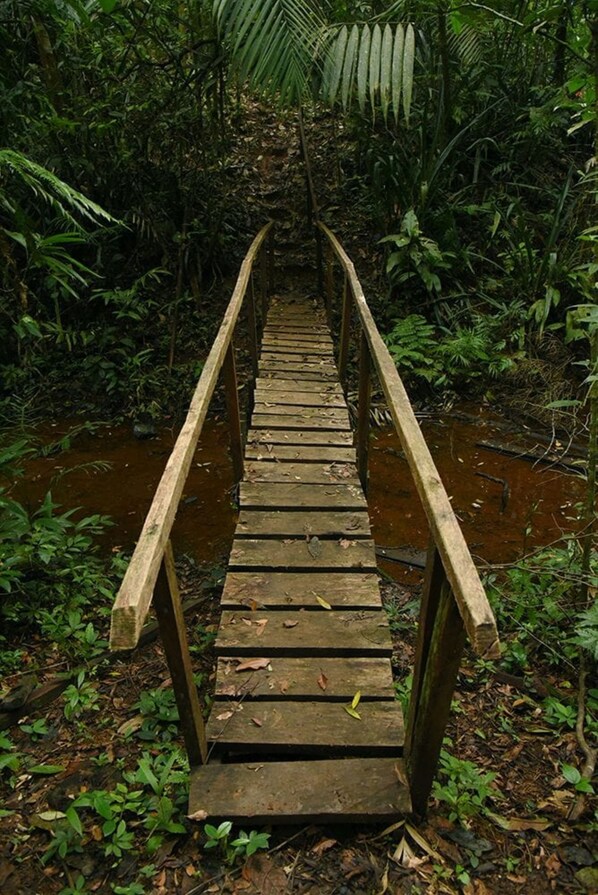 Exterior - La Laguna del Lagarto Eco-Lodge (Pital)