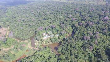 An aerial view of a dense forest with a small cluster of buildings surrounded by water bodies.