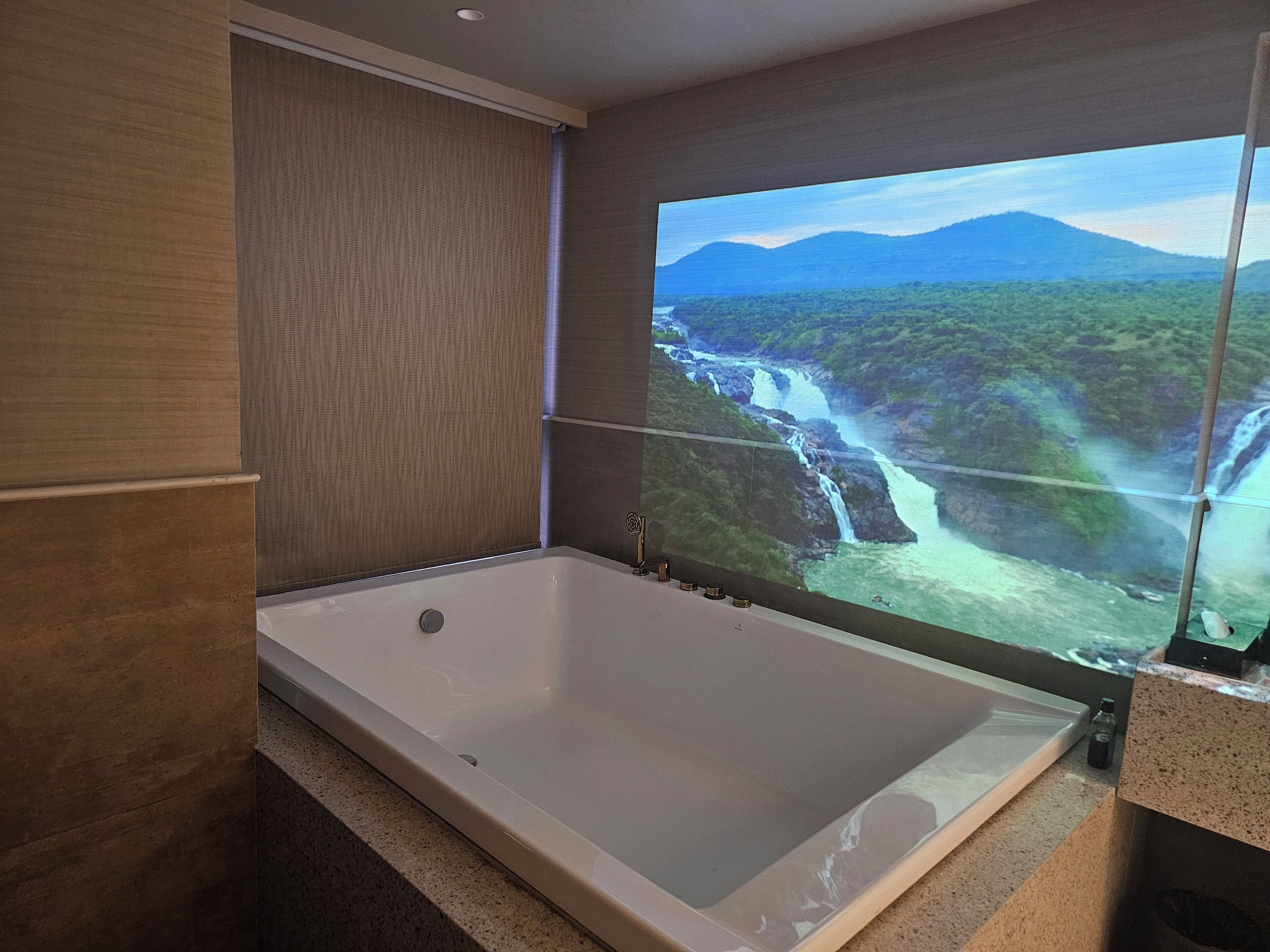 Photo - Dragonfly Hotel - The Art Hotel