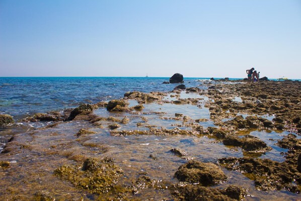 Private beach, white sand, free beach shuttle, beach umbrellas