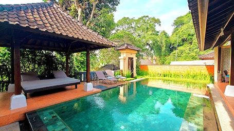 Piscina privada. Villa Nirvana