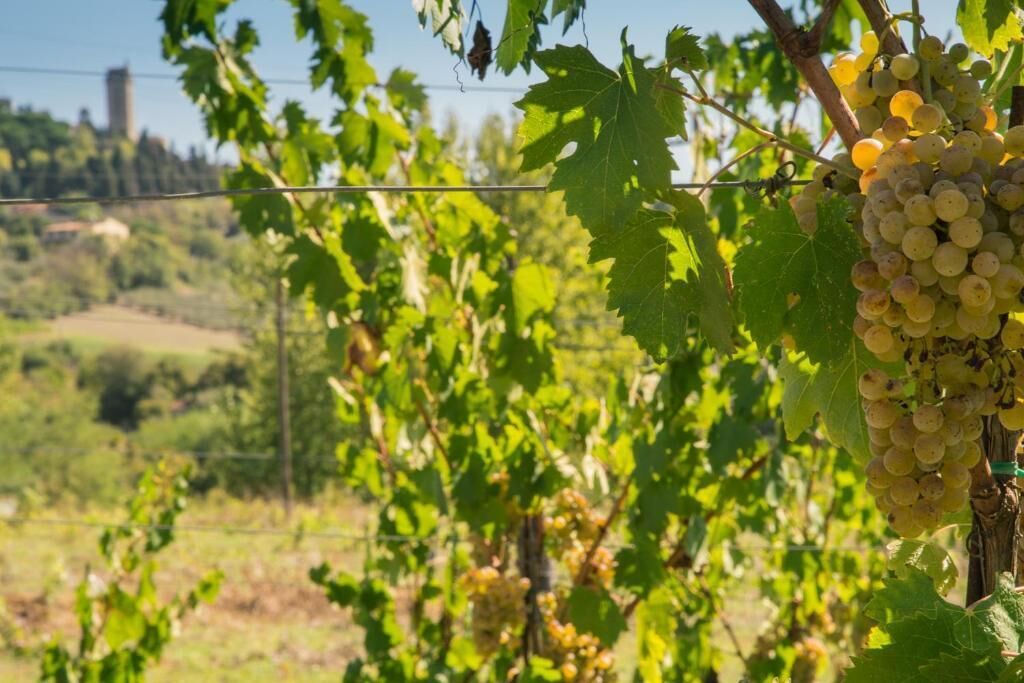 Foto - Agriturismo Il Casolare Di Bucciano