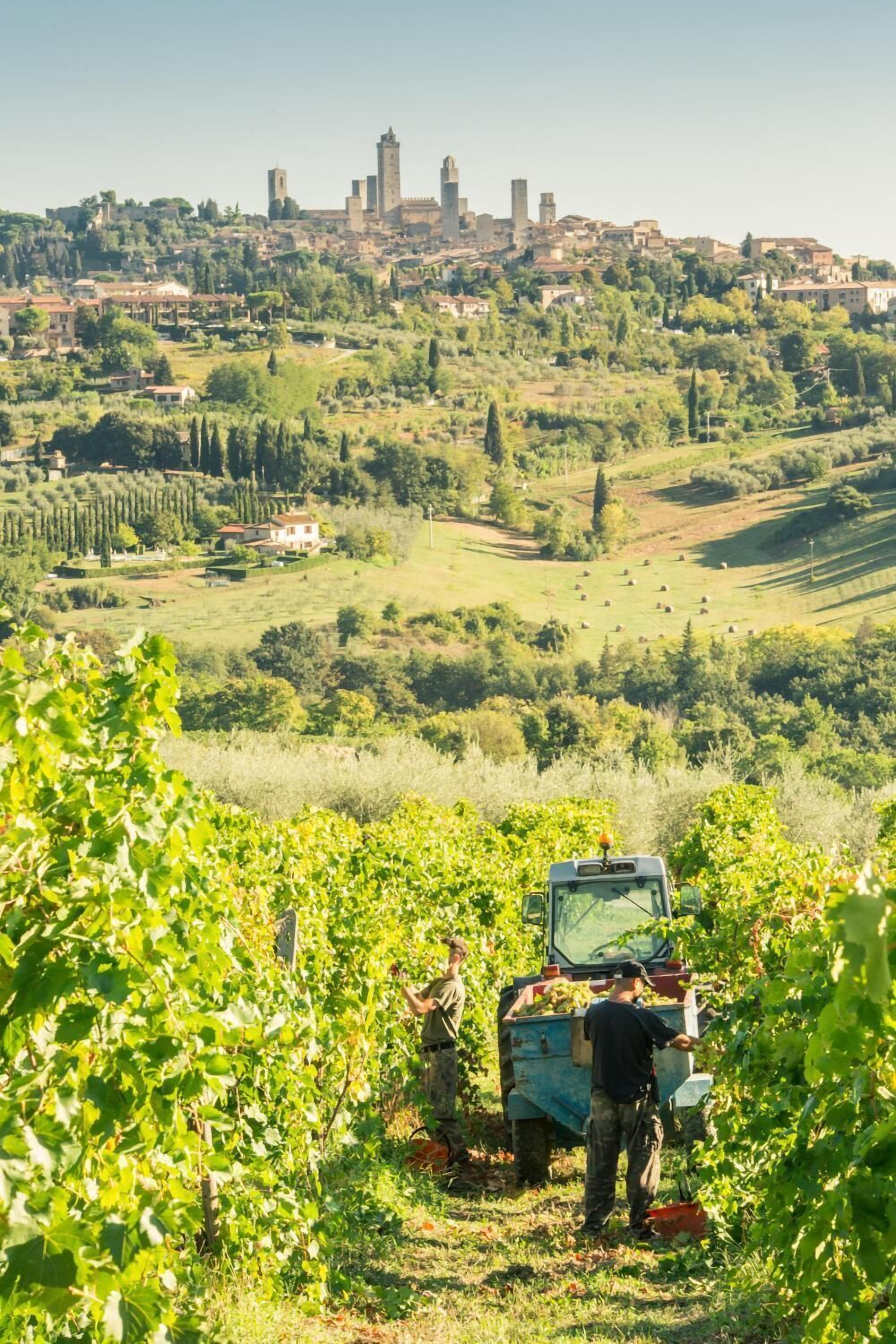 Foto - Agriturismo Il Casolare Di Bucciano