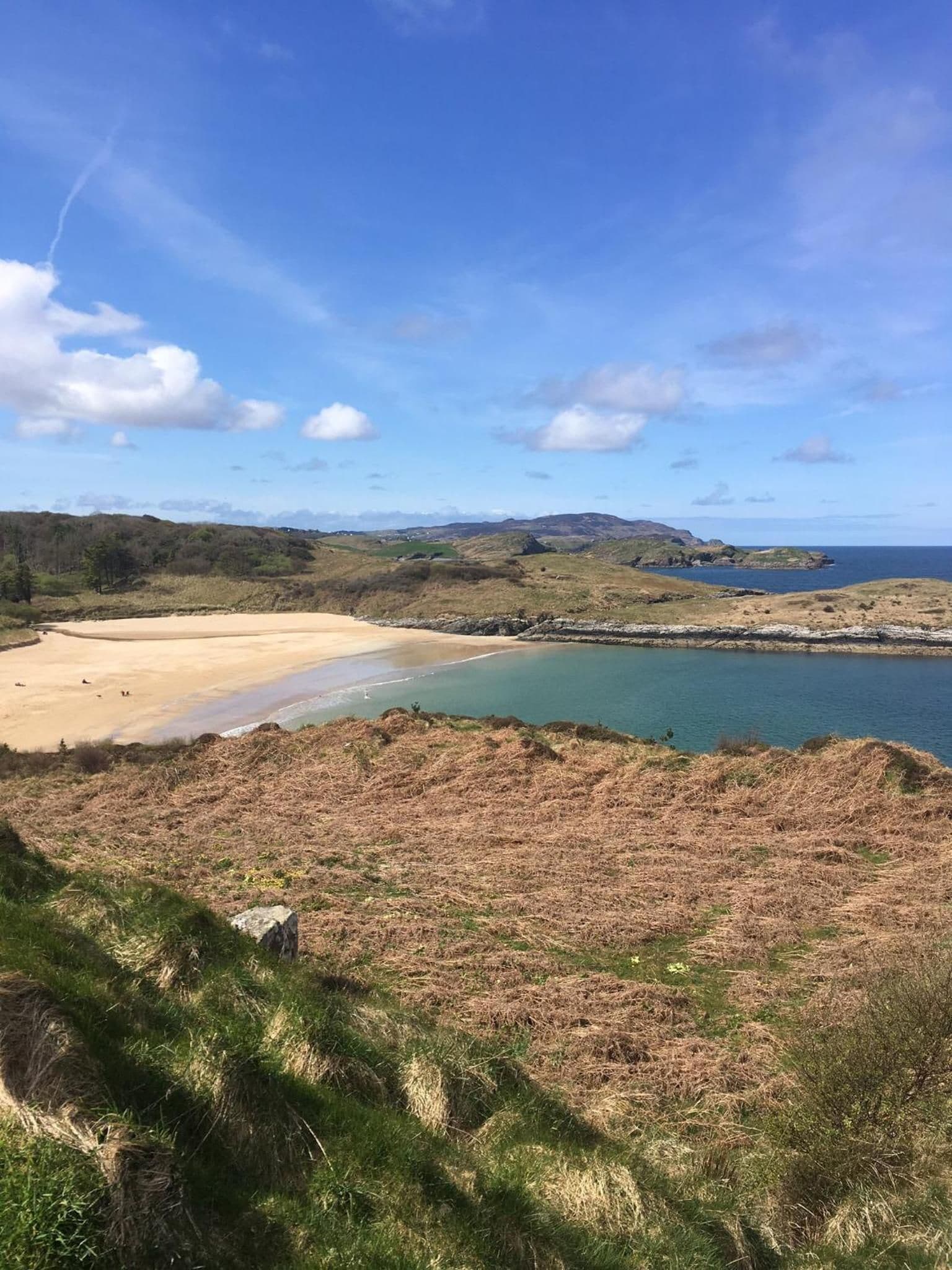A coastal landscape with a sandy beach, grassy hills, and a body of water.