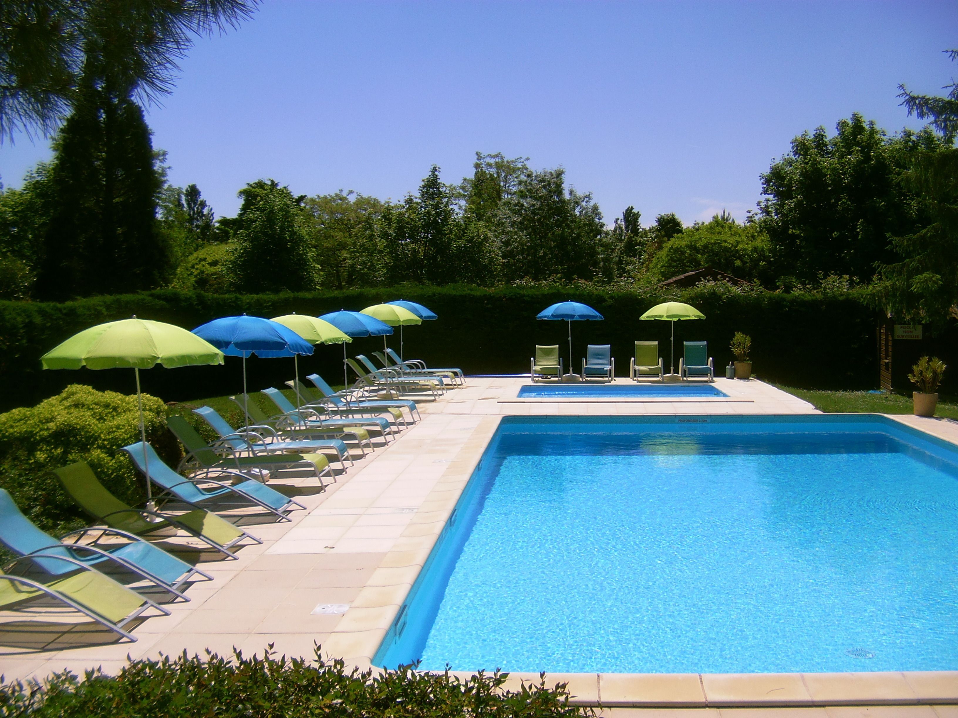Piscina con sillones de descanso y sombrillas, rodeada de vegetación.