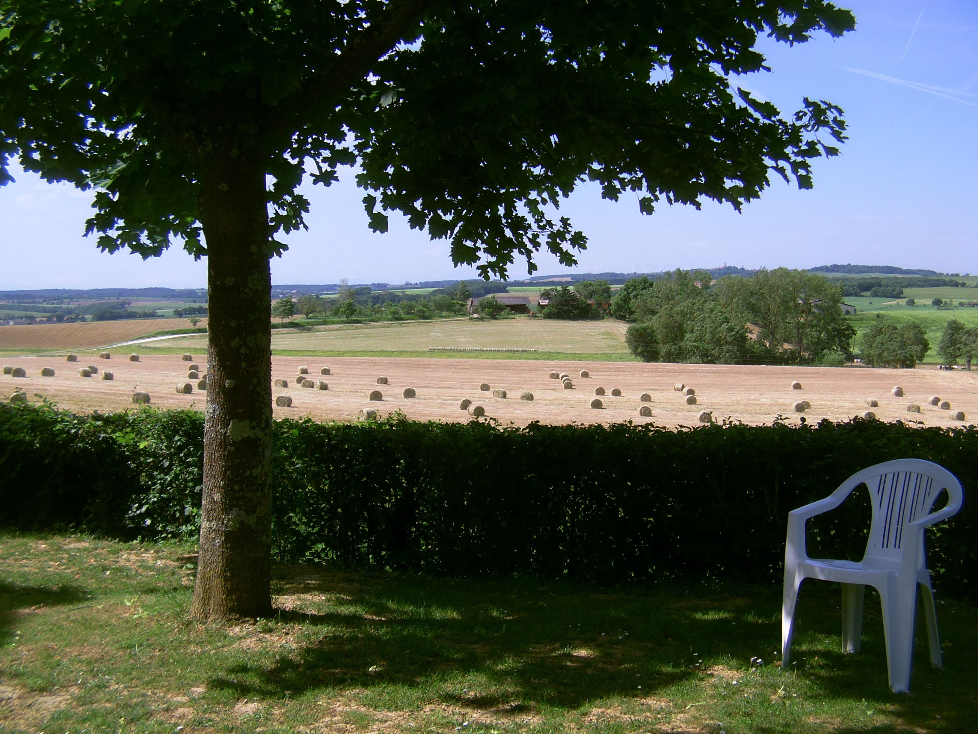 A rural landscape with hay bales in a field, a tree, and a white plastic chair.