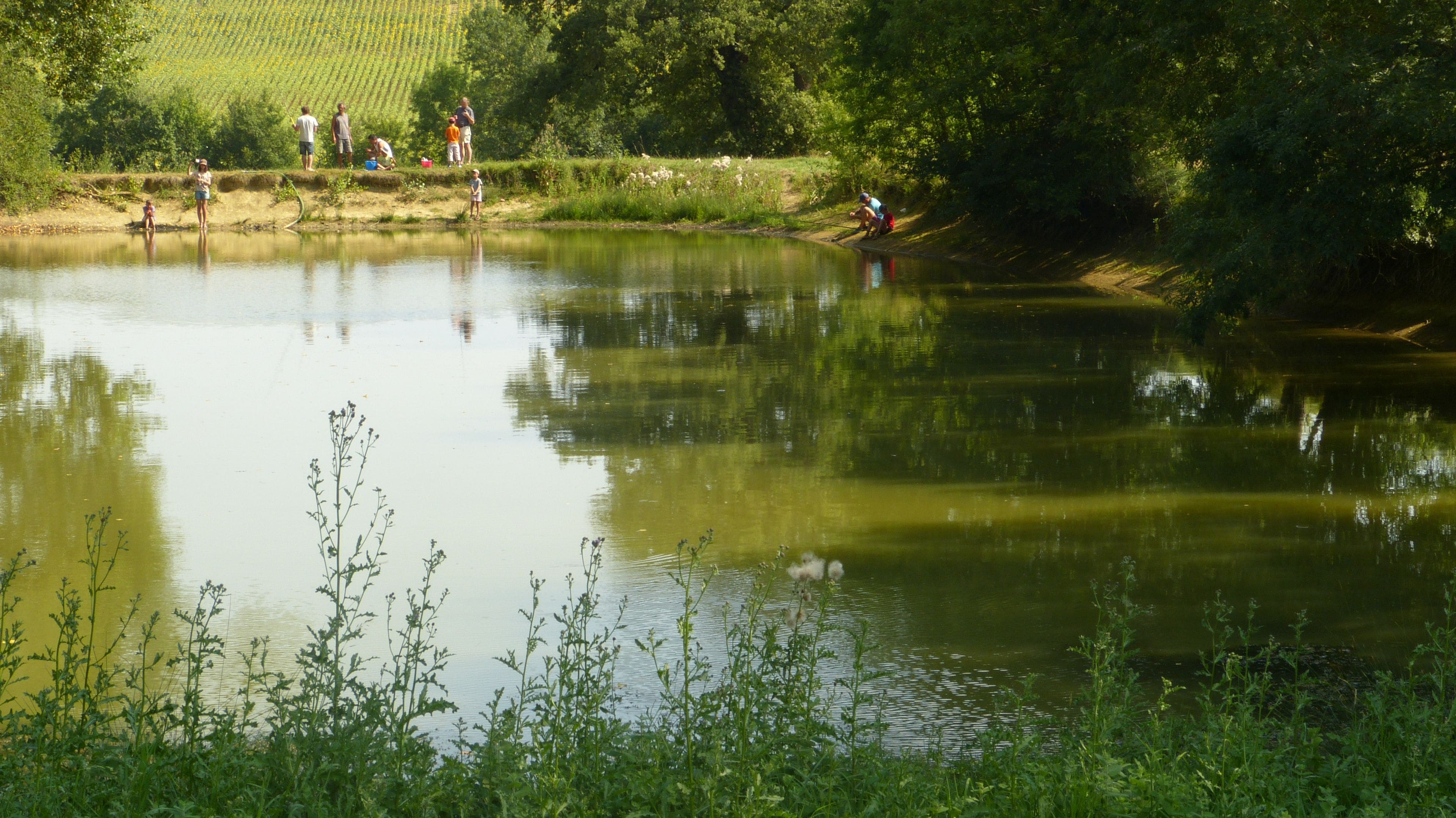 Un río tranquilo con gente disfrutando de diferentes actividades a orillas.