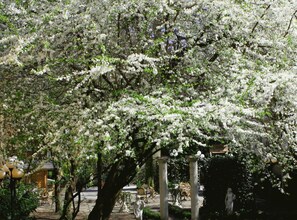 Property grounds - Boulevard Hostel Hamburg (Hamburg)