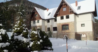 Villa Wellspacher