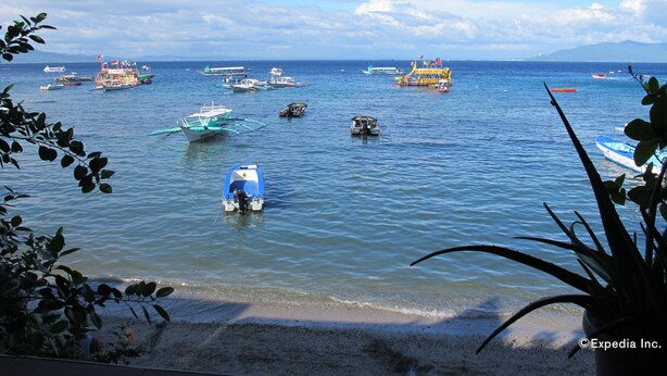 A coastal scene with various boats and a sandy beach. - Capt'n Gregg's (Puerto Galera)