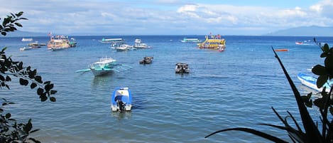 On the beach, scuba diving