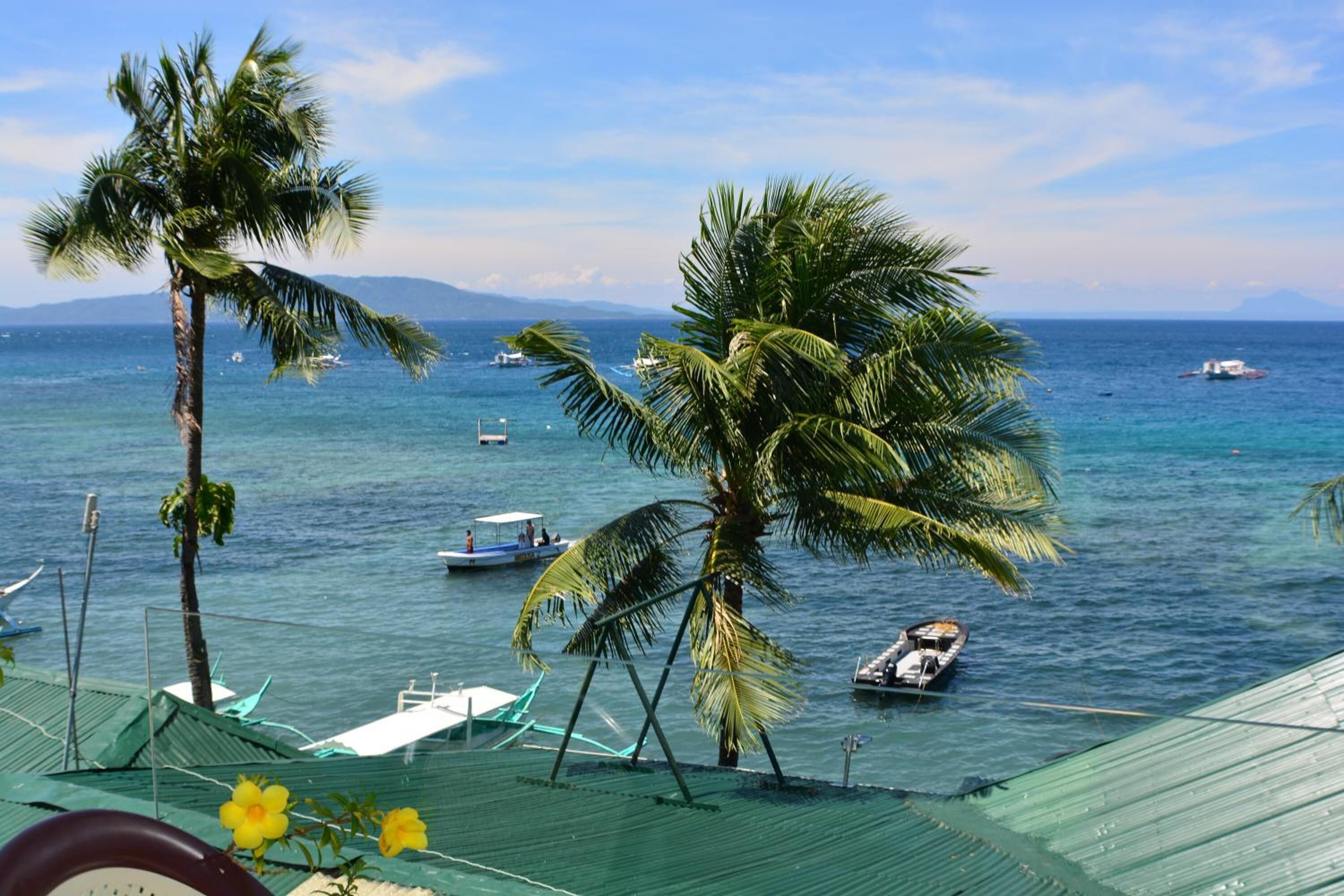 A coastal view with palm trees, boats, and a clear sky.