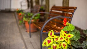 A bench in a courtyard with potted plants and a building in the background. - Ringhotel Altstadt (Guestrow)