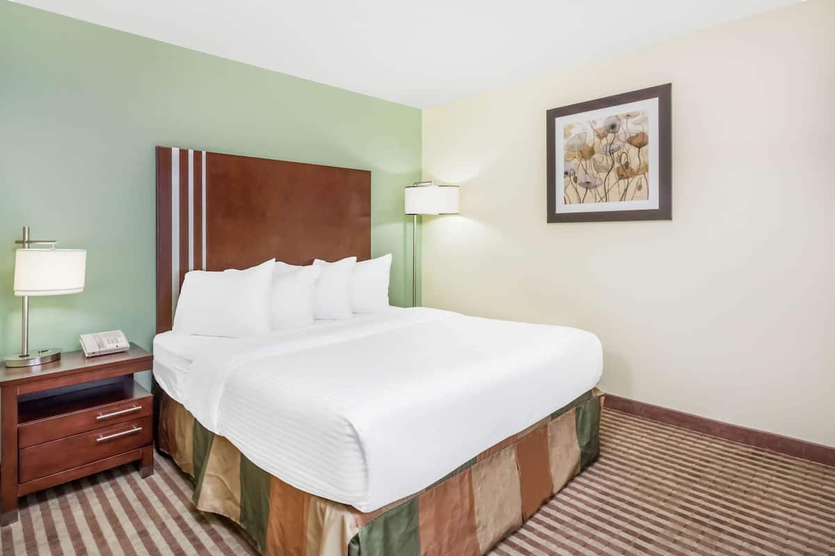 A neatly made bed with white linens, a wooden headboard, a bedside table with a lamp, and a framed picture on the wall.