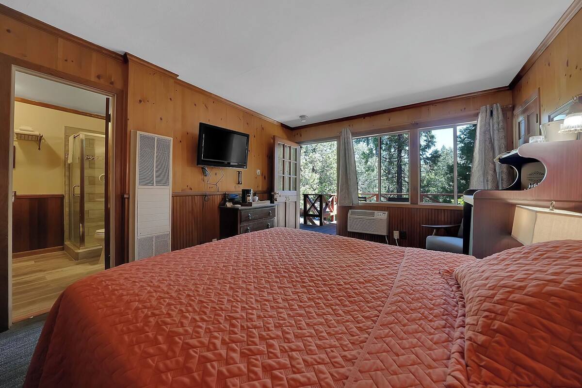 A hotel room with a large bed, a television, a desk with a chair, and a view of trees through the windows.