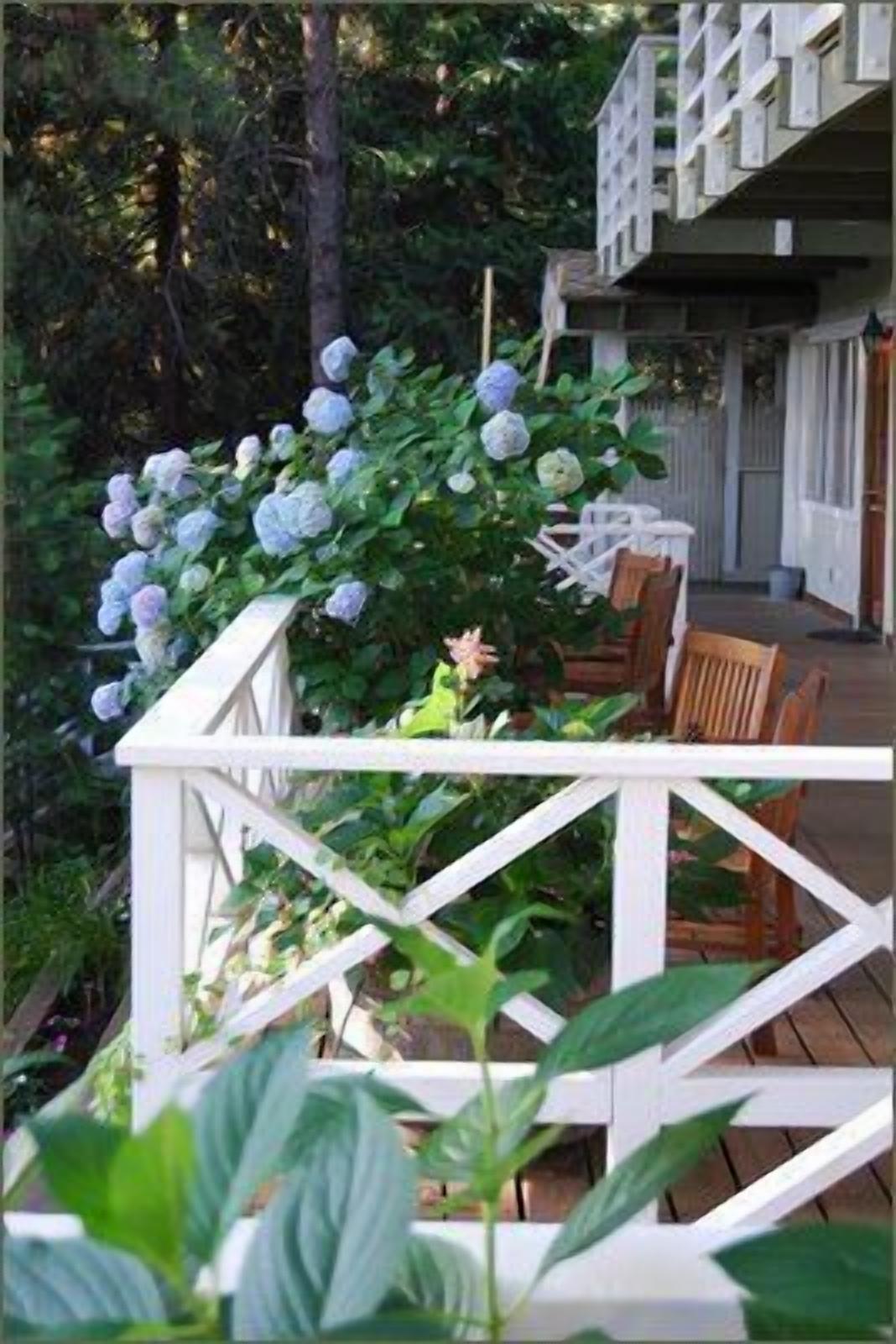 A wooden deck with white railings, surrounded by lush greenery and a flowering plant.