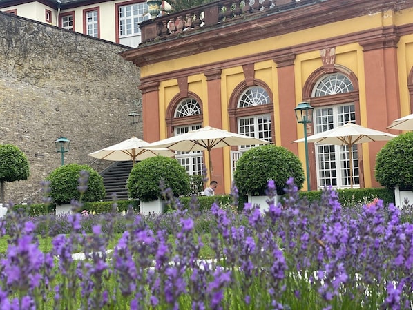 Vue sur la campagne depuis lâhĂ©bergement