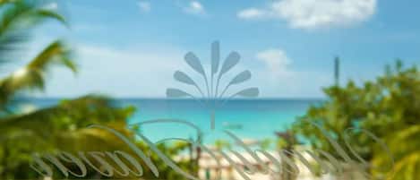 Vue depuis l’hébergement